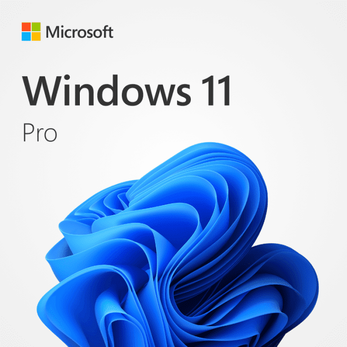 Microsoft Windows 11 Profesional